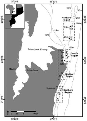 Environmental factors modulate the distribution of elasmobranchs in southern Mozambique